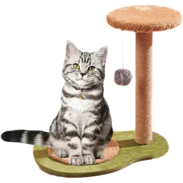 Avovado Shaped Cat Tree for Indoor Cats Tower Sisal Scratching Post