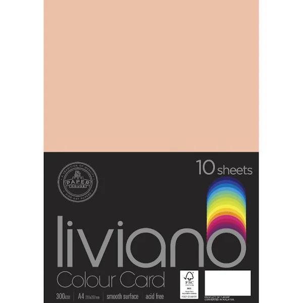 Liviano A4 Colour Card 300gsm Salmon 10 Pack