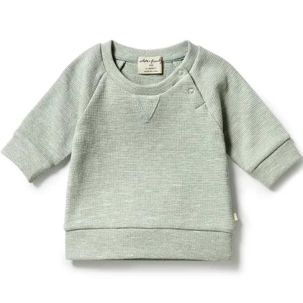 Wilson & Frenchy Organic Waffle Sweat - Sage 6-12M