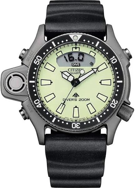 Citizen JP2007-17W Watch - ProMaster Aqualand