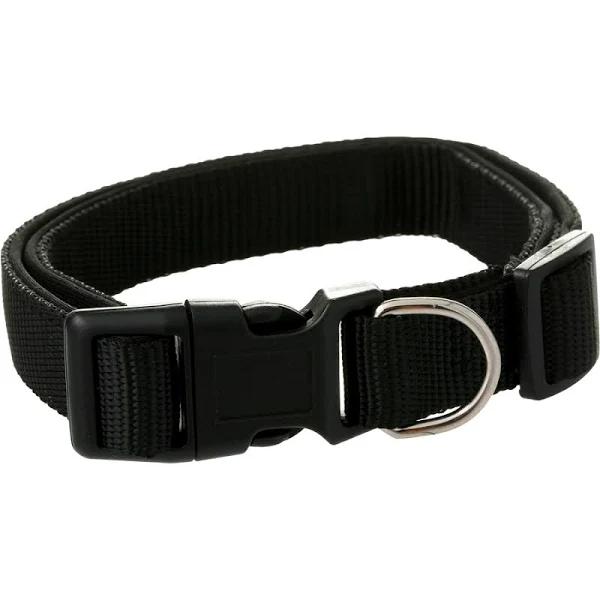 Brilliant Basics Large Padded Dog Collar - Black