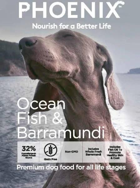 Phoenix Adult Ocean Fish & Barramundi Dog Food 3kg