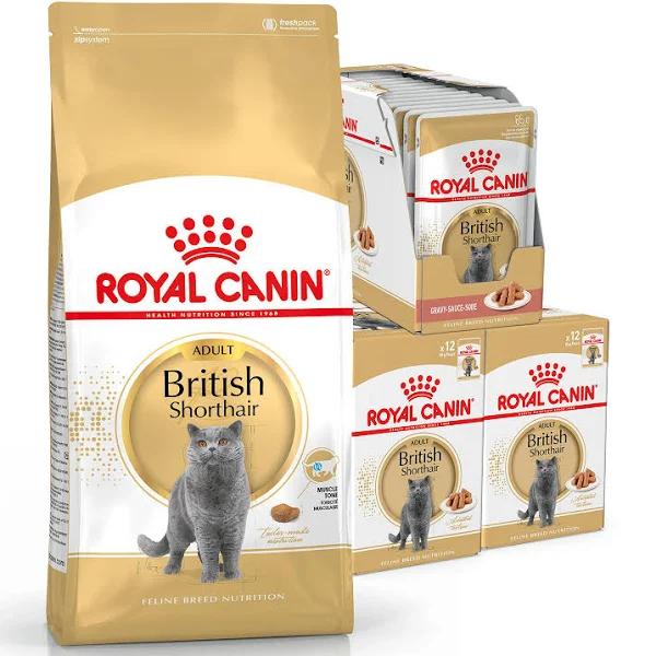 Royal Canin Bundle British Shorthair Adult Wet and Dry Cat Food by Budget Pet Products