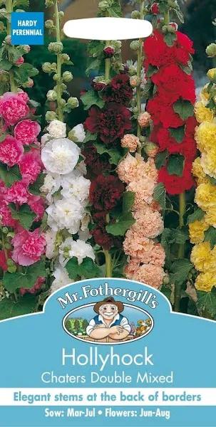 Mr Fothergill's Hollyhock Chaters Double Flower Seeds