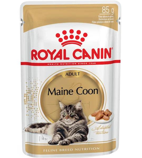 Royal Canin Adult Maine Coon Wet Cat Food in Gravy - 85g