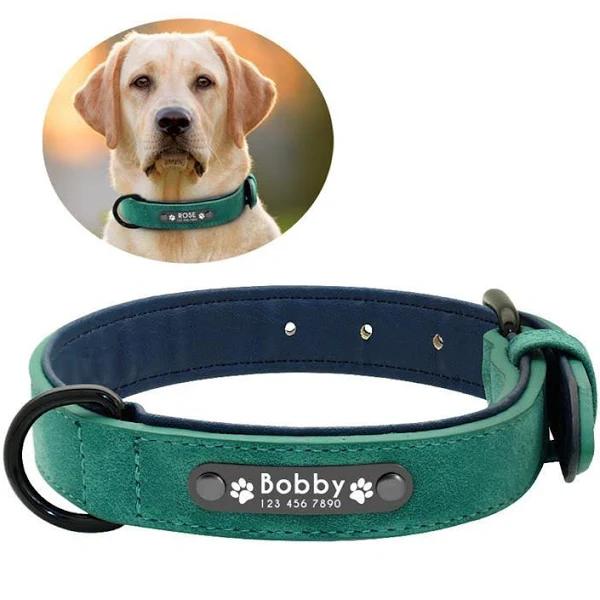 Personalized Genuine Leather Dog Collars Inner Padded with Engraving Nameplate, Green / 2XL / Without Leash