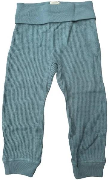 Bonds: Waffle Trackie - Cornflower Teal (Size 1)