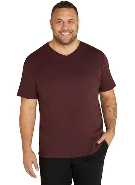 Johnny Bigg Essential V Neck Tee in Burgundy 6XL