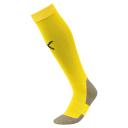 Puma Team Liga Socks Childrens, Size 1 - 6, White