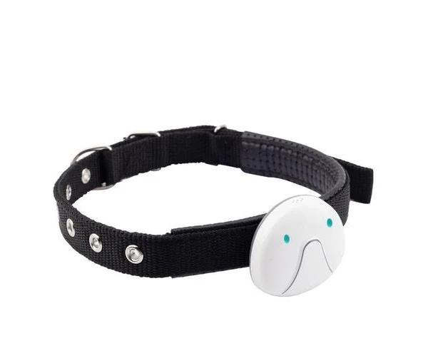 Pet Locator Dog Cat 4G Position Tracker Pets Anti-lost locator-white