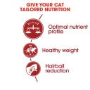 Royal Canin Cat Food Fit (4 kg)