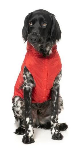 FuzzYard Flipside Dog Raincoat Red/Black/White 1