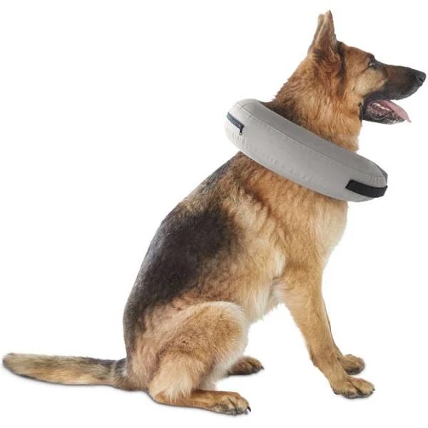 Bow + Bell Inflatable Dog Collar Large