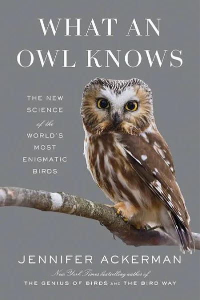 What An Owl Knows by Jennifer Ackerman