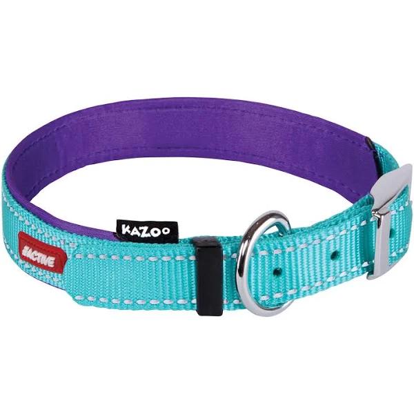 Kazoo Active Nylon Collar Aqua Purple Large