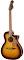 Fender Newporter Player Guitar | Sunburst