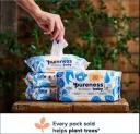 Pureness Baby Biodegradable Plastic Free Sensitive,newborn Skin Wipes,