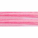 DMC Color Variations 4050 Roaming Pastures Embroidery Floss