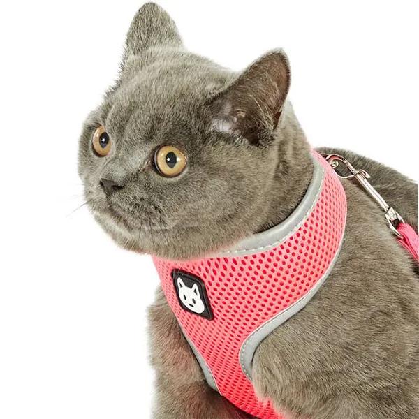 All Day Reflective Mesh Cat Harness & Lead Set Neon Pink