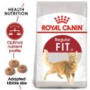 Royal Canin Cat Food Fit (4 kg)