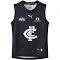 Carlton Football Club 2024 Replica Home Guernsey - Youth 8-16 Years in Dark Navy/White/Cfc, Size Large by Puma