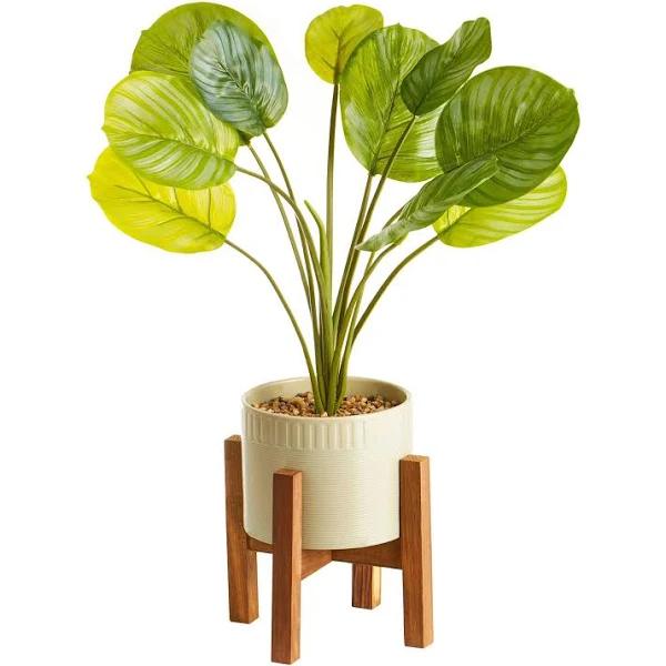 Cooper & Co Artificial Taro Plant in Ceramic Pot 75cm