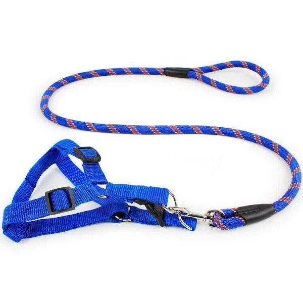 Pet Dog Collar Lead Training Leash Safety Collars S M L Halter Nylon