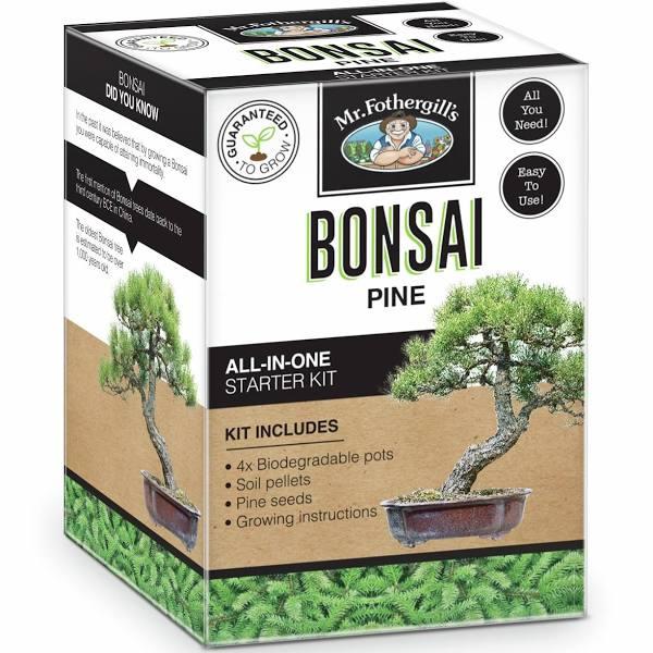 Mr Fothergill's Pine Bonsai Kit