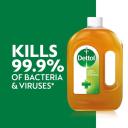 Dettol Antiseptic Disinfectant Liquid 750ml