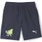 Puma Essentials Shorts Blue, Mens Shorts, Size L - Color Peacoat