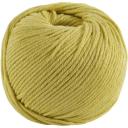 DMC Perle 5 Cotton #895 Very Dark Hunter Green 10g Ball 45m