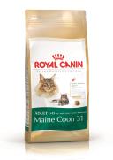 Royal Canin Cat Food Maine Coon (10 kg)