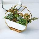 Flower Plant Pot Indoor Outdoor Garden Wall Hanging Succulent Planter Pot Vase Gold