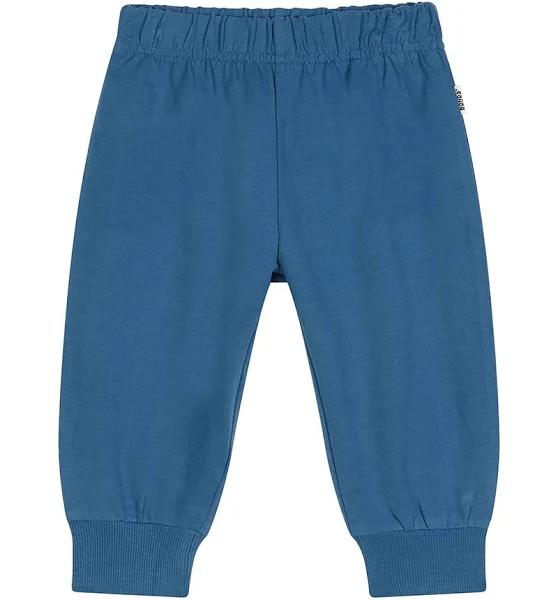 Bonds Soft Threads trackies - Im Into Blue