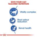 Royal Canin Cat Food Indoor Mature (3.5 kg)