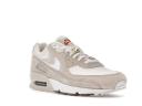 Nike Air Max 90 SE