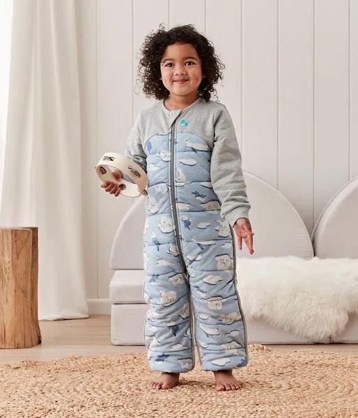 Love to Dream Sleep Suit 3.5 Tog - Dusty Blue-South Pole / 3 Years