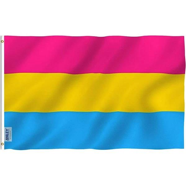 ANLEY [Fly Breeze] 0.9m x 1.5m Pansexual Pride Flag - Vivid Colour and UV Fade Resistant - Canvas Header and Double Stitched