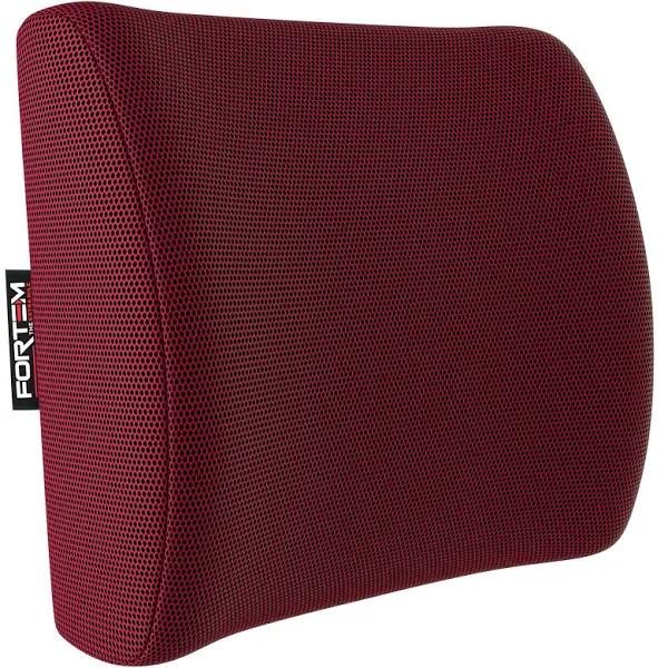 FORTEM Lumbar Support Cushion, Back Support for Office Chair and Car Seat, Back Rest for Gaming Chair, Memory Foam Pillow, Desk Chair Cushion,