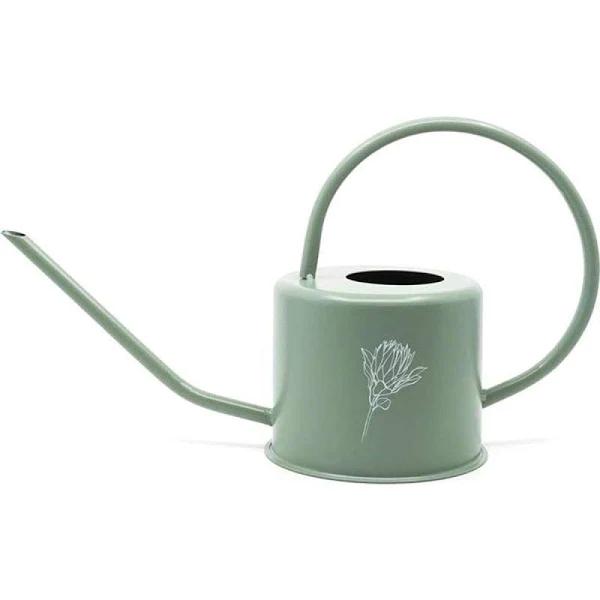 Rayell Homewares Watering Can Bloom Olive 36x18x14