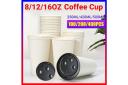 Disposable Coffee Cups Takeaway Paper Single Wall Take Away Bulk 8oz, 100pcs (50 Cups + 50 Lids)