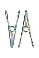 Morgan & Taylor Large Stainless Steel Pegs 40 Pack in Rainbow Multi