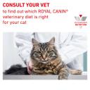 Royal Canin Veterinary Mature Consult Wet Cat Food 12 x 85g