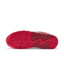 Nike Air Max 90 City Special Chicago