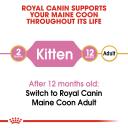 Royal Canin Maine Coon Kitten 4 kg