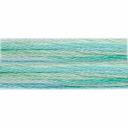 DMC Color Variations 4050 Roaming Pastures Embroidery Floss