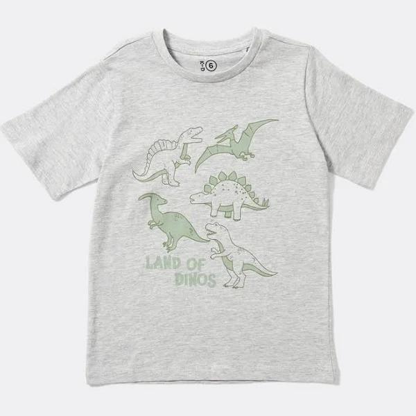 K-D Kids Dinosaur Print Tee - Grey - Size 7