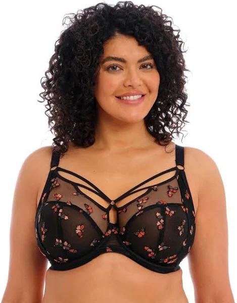 Elomi Sachi Black Butterfly Plunge Bra