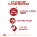 Royal Canin Fit Cat Food 400g