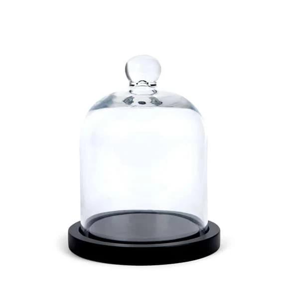 Laboratoire Glass Cloche Clear by Freedom